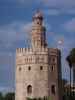 Torre del Oro in Sevilla (21. Nov.)