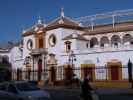 Plaza de Toros de la Real Maestranza de Caballería de Sevilla (21. Nov.)