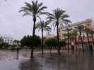 Plaza del Arenal in Jerez de la Frontera (22. Nov.)