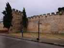 Torres y Murallas in Jerez de la Frontera (22. Nov.)