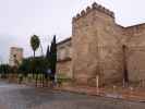 Alcázar de Jerez de la Frontera (22. Nov.)