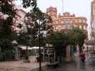 Plaza de Las Flores in Cádiz (22. Nov.)