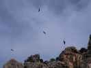 Caminito del Rey: Desfiladero de Los Gaitanes (23. Nov.)