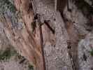 Caminito del Rey: Desfiladero de Los Gaitanes (23. Nov.)