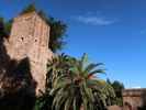 Alcazaba de Málaga (24. Nov.)