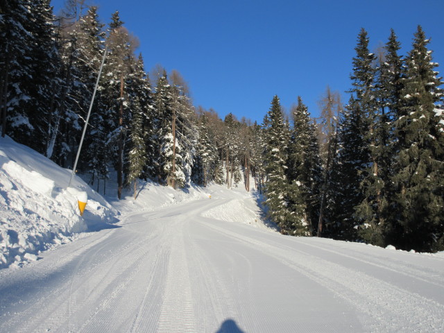 Erlebnisabfahrt Haideralm