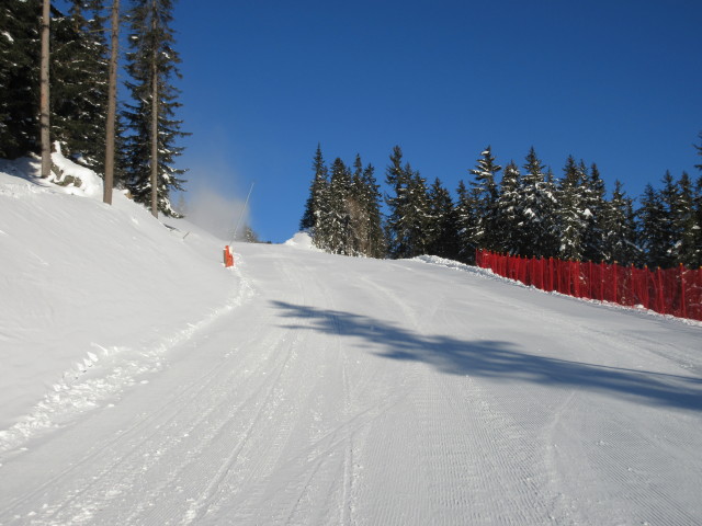 Erlebnisabfahrt Haideralm