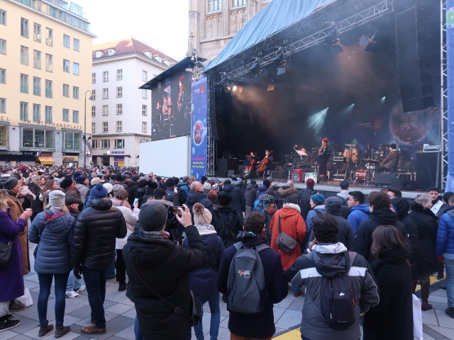 The Carpats am Stephansplatz