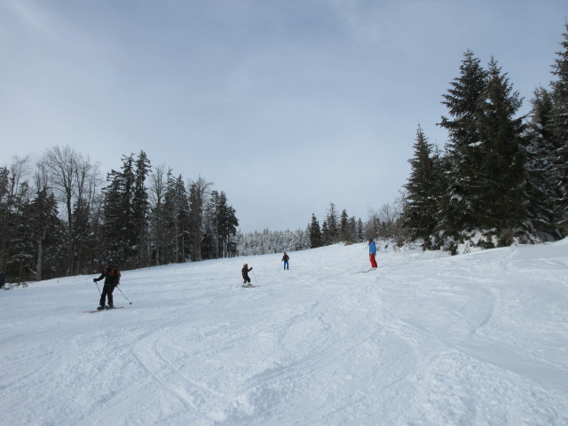 Schneidabfahrt