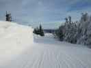 neben der Bergstation des Schneidlifts