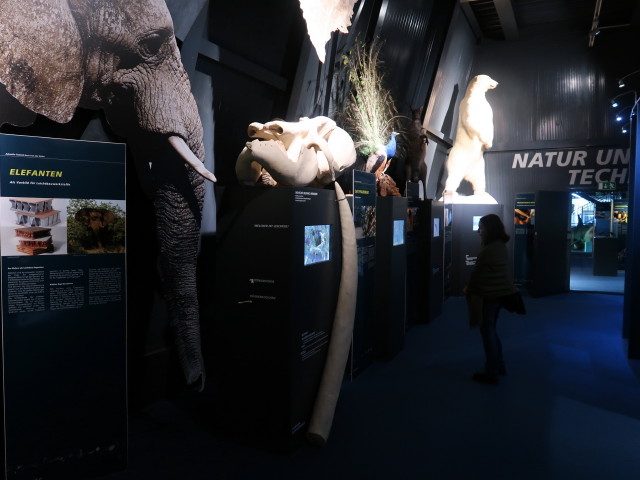 oekopark: Sabine in der Ausstellung 'Bionik - Die Weisheit der Natur'