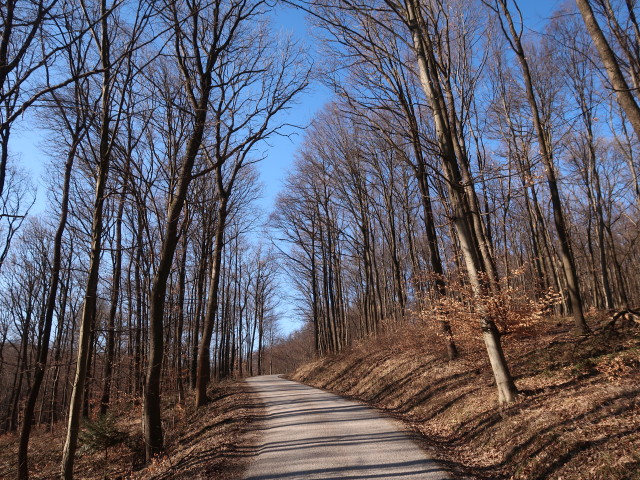 zwischen Katzengraben und Wirtshaus Rohrhaus
