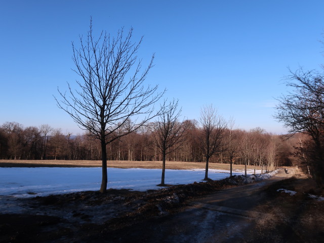 zwischen Wirtshaus Rohrhaus und Kaltbründlberg