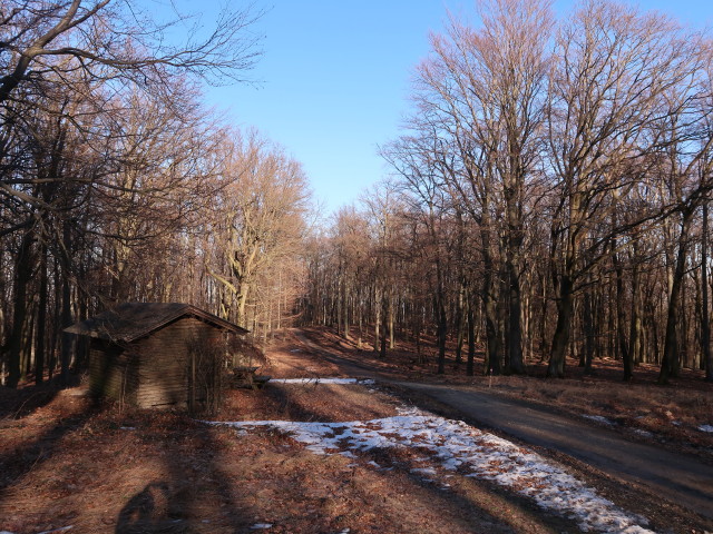 Kaltbründlberg, 508 m