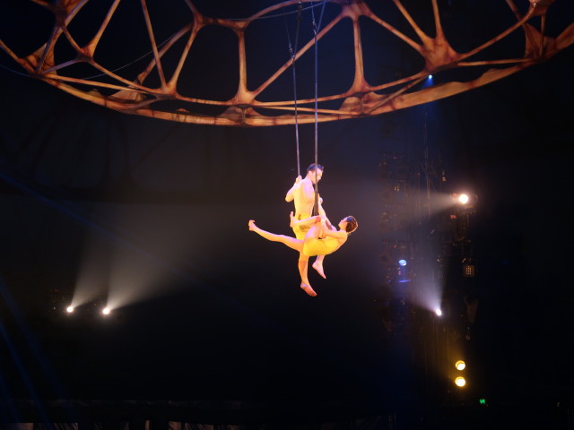 Totem: Fixed trapeze Duo