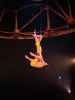 Totem: Fixed trapeze Duo