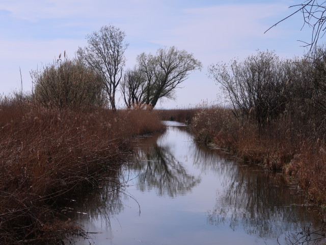 bei Weiden am See