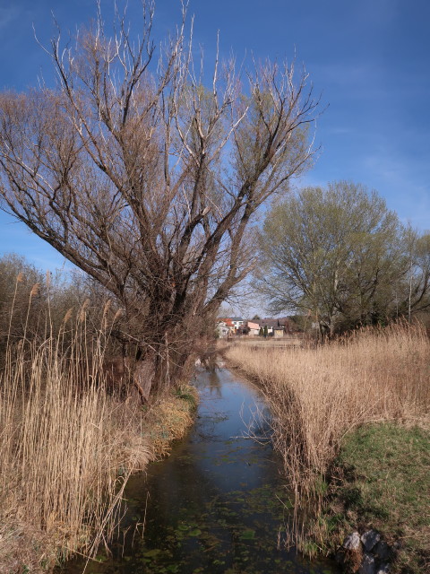 Weiden am See