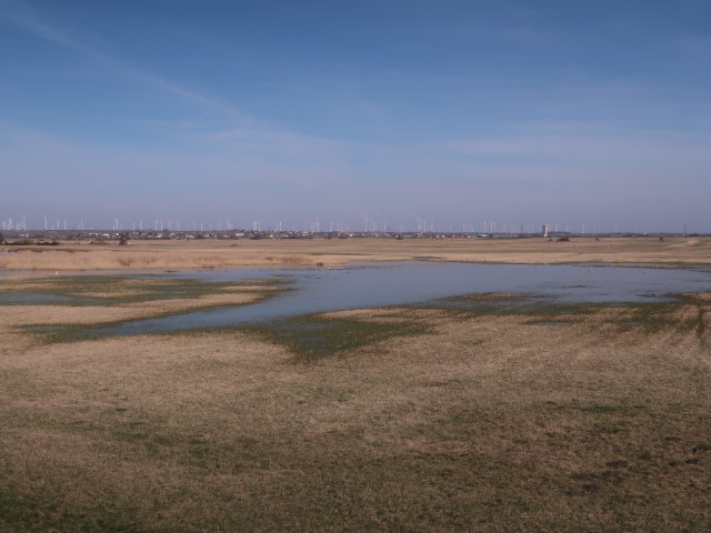 Zitzmannsdorfer Wiesen