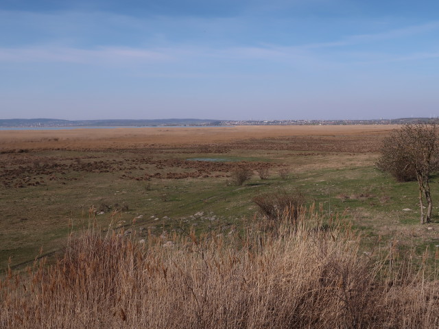 Zitzmannsdorfer Wiesen
