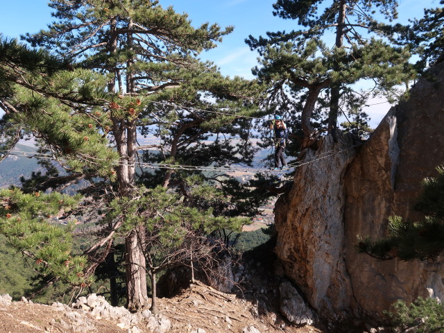 Gebirgsvereins-Klettersteig: Sabine auf der Seilbrücke