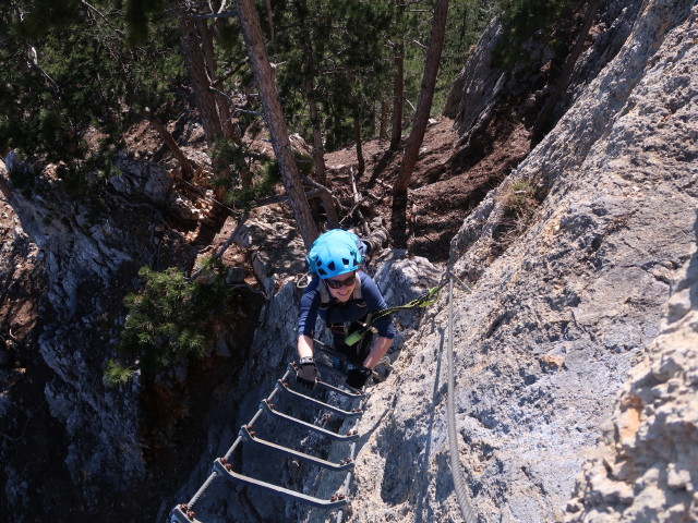 Gebirgsvereins-Klettersteig: Sabine in der Pannoniawand