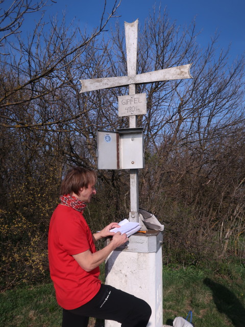 Jörg am Hundsheimer Berg, 480 m