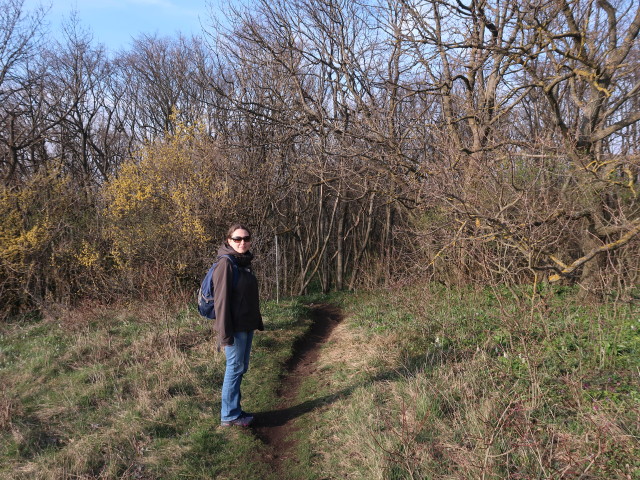 Sabine zwischen Hundsheimer Berg und Hainburger Wald