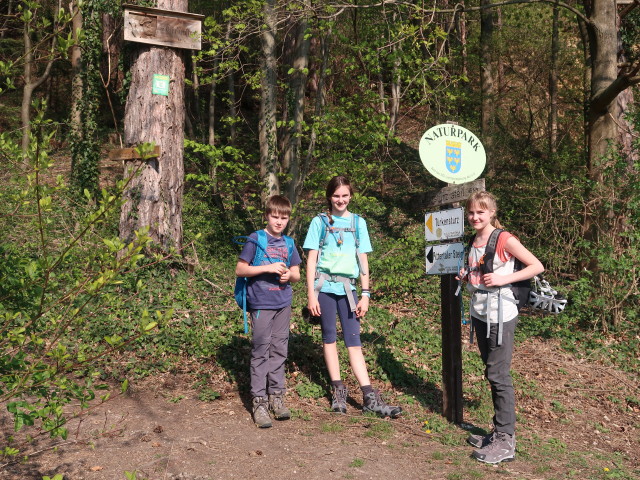 Tim, Anja Liv und Katja Lin zwischen Pitten und Pittentaler Klettersteig
