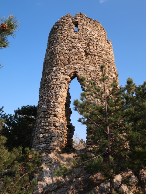 Ruine Türkensturz, 610 m