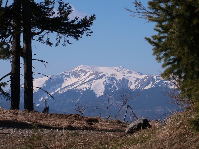 Schneeberg vom Otterrundweg aus