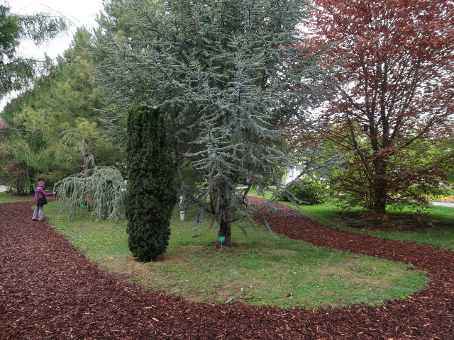 Sabine im Koniferengarten