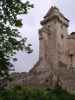 Burg Liechtenstein