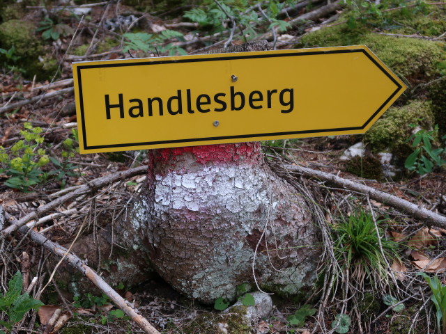 zwischen Grubenfranzl und Freudentaler Mauer