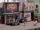 Animal Actors Show in den Universal Studios Hollywood (7. Juni)
