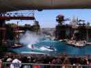 Water World Show in den Universal Studios Hollywood (7. Juni)