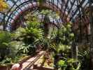 Botanical Building im Balboa Park in San Diego (8. Juni)