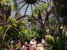 Botanical Building im Balboa Park in San Diego (8. Juni)