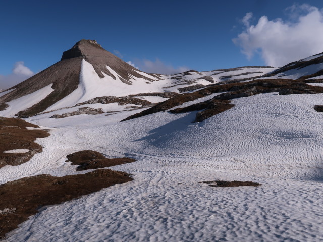 Weg 15 zwischen Forcella de Gherdenacia und Puezhütte (16. Juni)