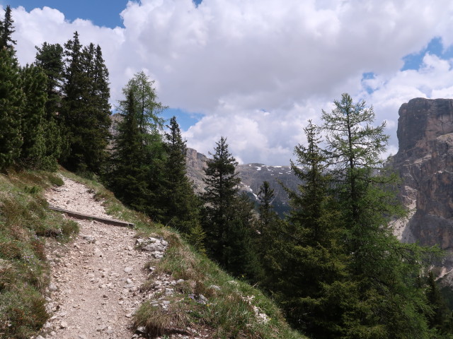 Weg 16 zwischen Puezhütte und Langental (16. Juni)