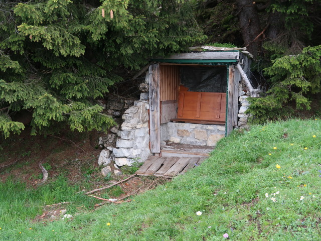 zwischen Älpele und Hochgerach (23. Juni)