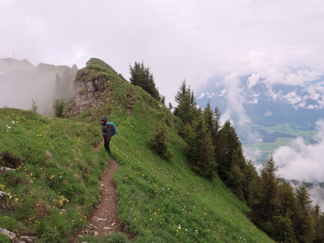 Sabine zwischen Vorgipfel und Hauptgipfel des Hochgerach (23. Juni)