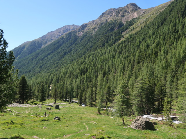 Weg 914 zwischen Beliz und Leibnitzalm (29. Juni)