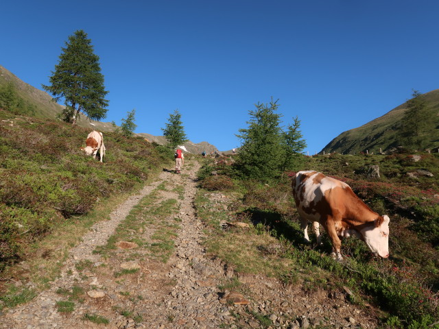 Gabriele, Werner, Evelyn, Moritz, Philipp und Erich zwischen Pedretscherkaser und Gampenkaser