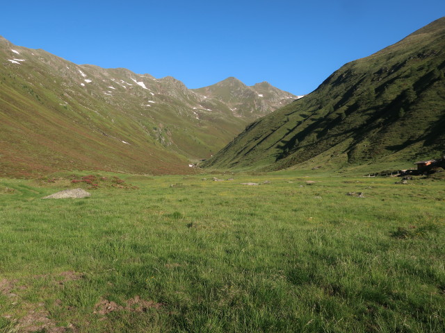 zwischen Gampenkaser und Brunnalm