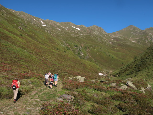 Gabriele, Erich, Josef, Moritz, Ursa, Evelyn und Philipp zwischen Gampenkaser und Brunnalm