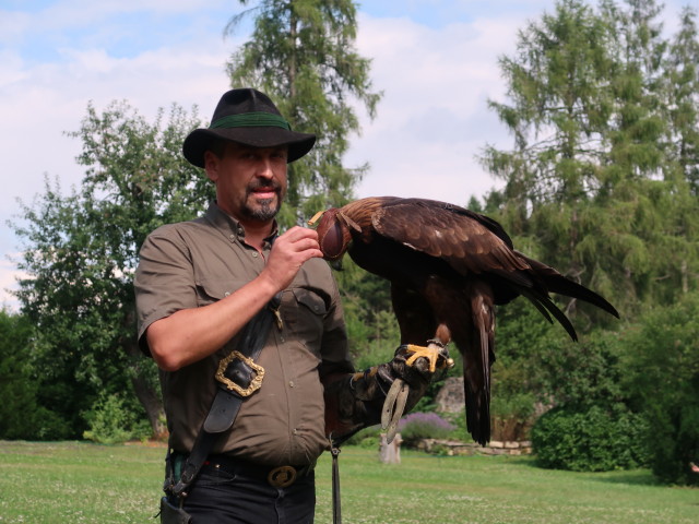 Falknerei-Flugvorführung im Schlosspark Waldreichs (14. Juli)