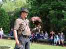 Falknerei-Flugvorführung im Schlosspark Waldreichs (14. Juli)