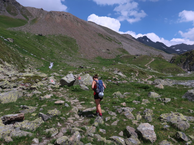 Ursa am Weg 302 beim Breiten Wasser (20. Juli)