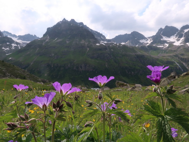 Vorderer Satzgrat (20. Juli)